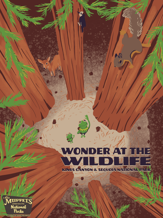 Wonder at Wildlife